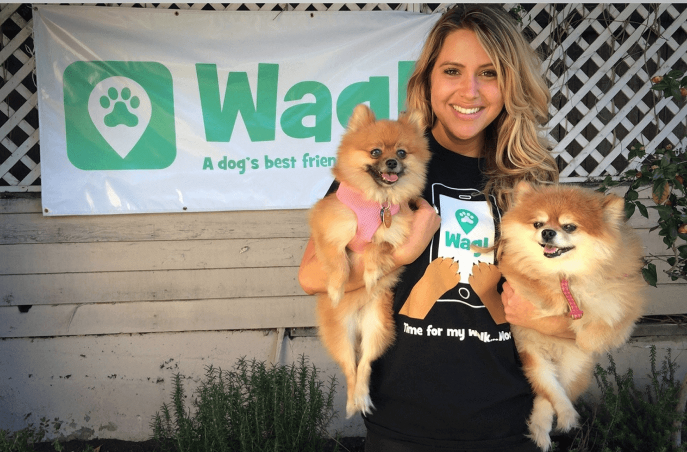 Uber for Dog Walking App Development 3 Things To Be Considered