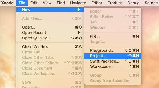 Create a new Xcode project 